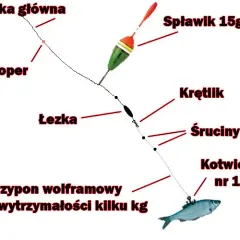 Najlepsza wędka na żywca z gruntu - jak wybrać idealny sprzęt