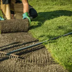Jak przygotować grunt pod wysiew trawy: 7 kluczowych kroków