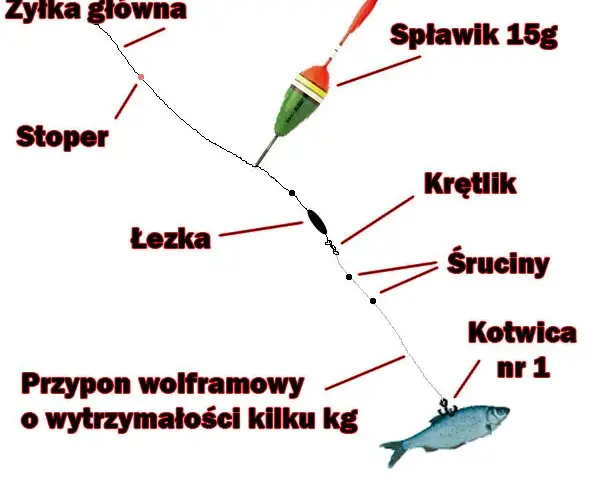 Najlepsza wędka na żywca z gruntu - jak wybrać idealny sprzęt