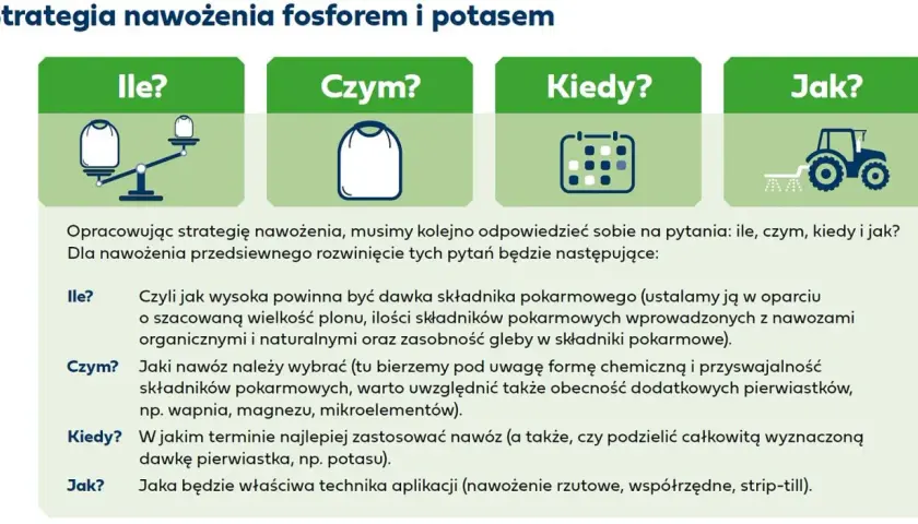 Jak stosować naturalny nawóz potasowy - skuteczne techniki