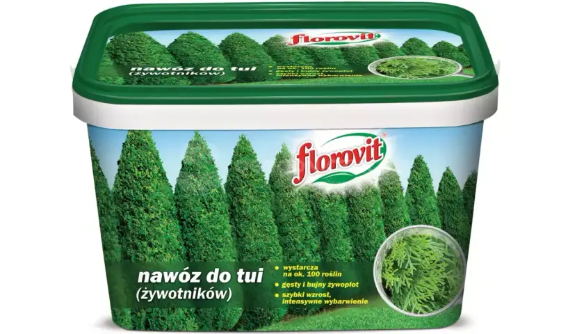 Jaki nawóz pod tuje? Skuteczne sposoby na bujny wzrost iglaka