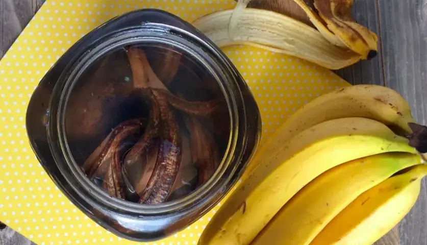 Jak zrobić nawóz ze skórek banana: 4 skuteczne metody