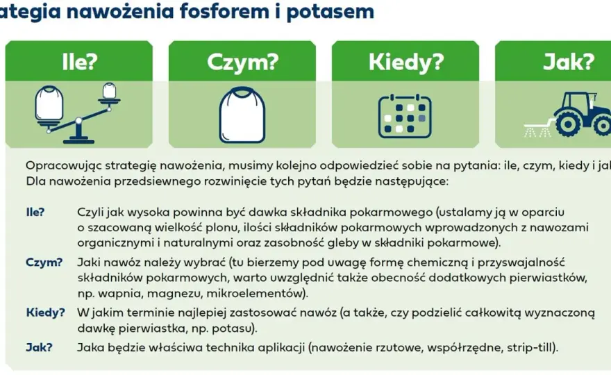 Jak stosować naturalny nawóz potasowy - skuteczne techniki