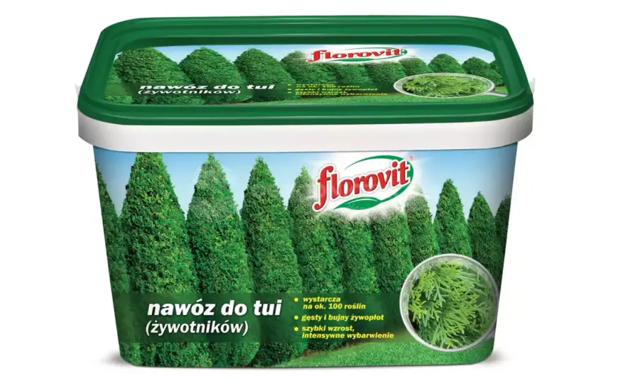 Jaki nawóz pod tuje? Skuteczne sposoby na bujny wzrost iglaka