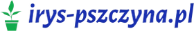 irys-pszczyna.pl